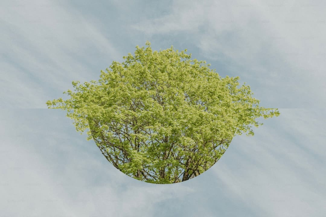 性感自己杨单纯再玩跨界，无视问号自傲就完了